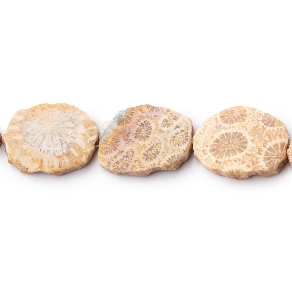 15x12mm Fossil Coral Straight Drilled Slice Beads 7.5 inch 12 pieces