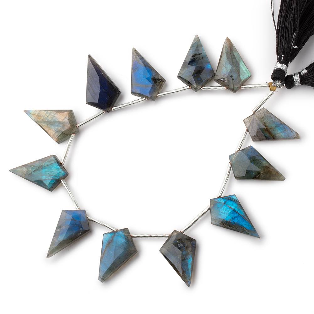 20-22mm Labradorite Faceted Shield Beads 7 inch 11 pieces