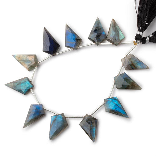 20-22mm Labradorite Faceted Shield Beads 7 inch 11 pieces