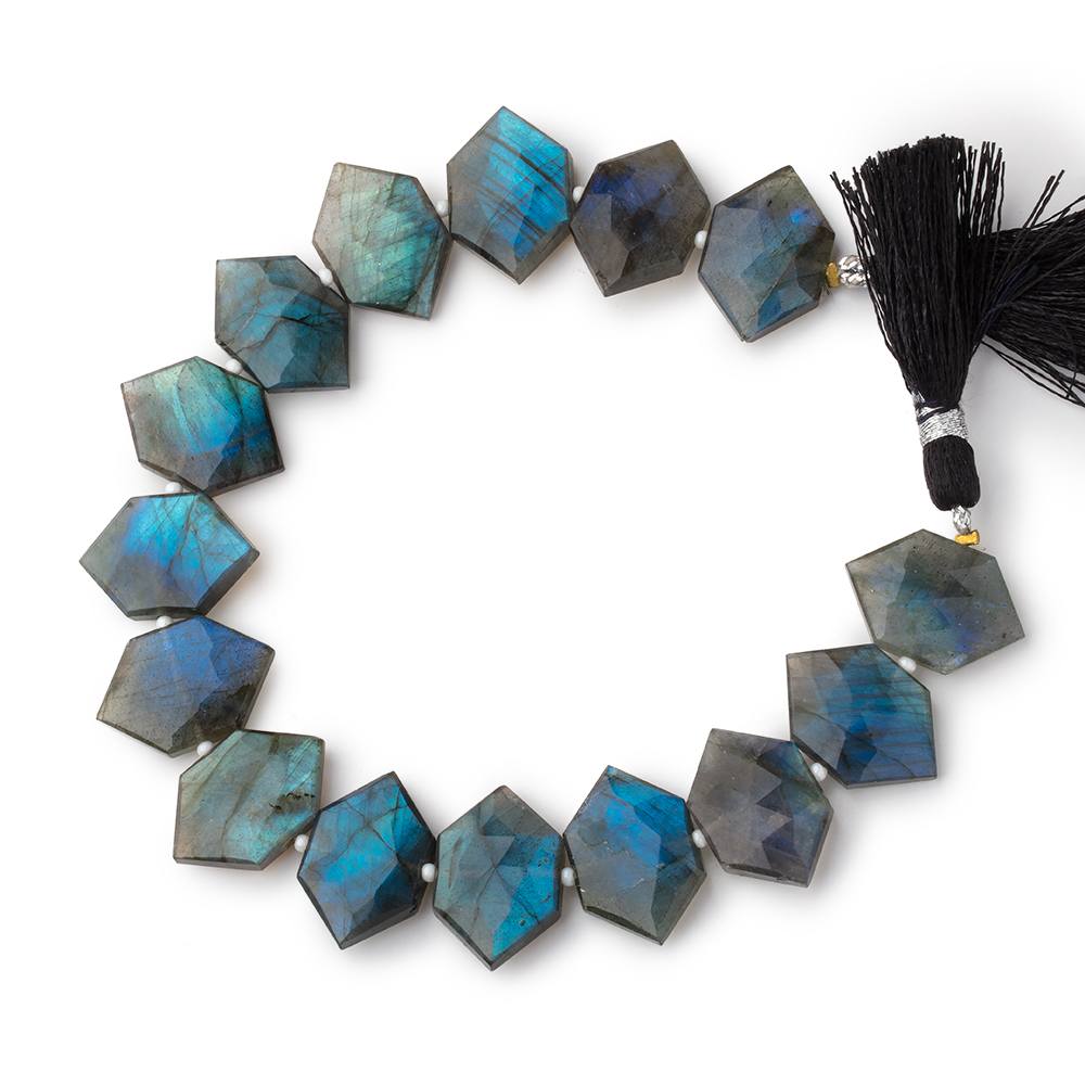 20x13mm Labradorite Faceted Elongated Hexagon Beads 8 inch 14 pieces