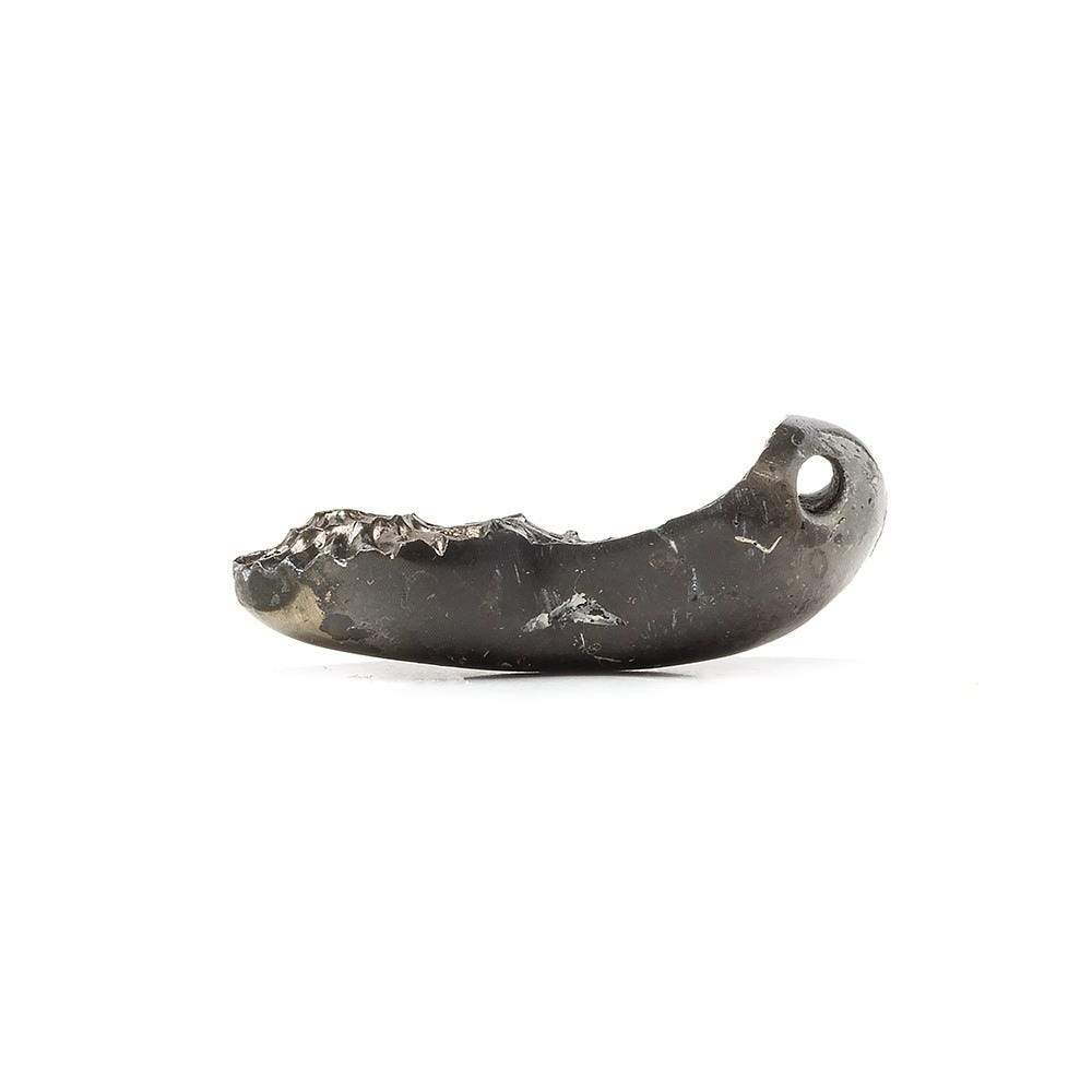 25x15mm Pyritized Ammonite  Fossil Focal Bead