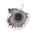 34x38mm Silver Leafed Amethyst Solar Quartz Slice Pendant 1 focal piece