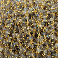 3mm Labradorite Faceted Rondelles on Gold Plated Dangling Chain