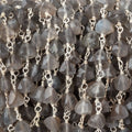 5-6mm Platinum Moonstone Faceted Trillions on .925 Silver Chain