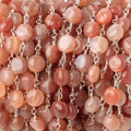 6.5mm Angel Skin Moonstone Plain Coins on Silver Plated Chain