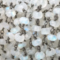 6mm Rainbow Moonstone faceted rondelle Black Gold plated Chain by the foot