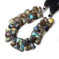 9x9-14x9mm Labradorite tip drilled Triangle beads 7 inch 49 pieces